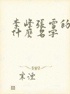 李峰张雪的书叫什么名字
