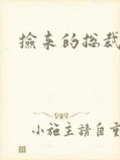 捡来的总裁儿子