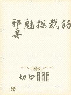 邪魅总裁的替身妻