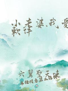 小老婆.我爱你软件