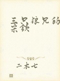 三只狼兄的宠妻宋钦