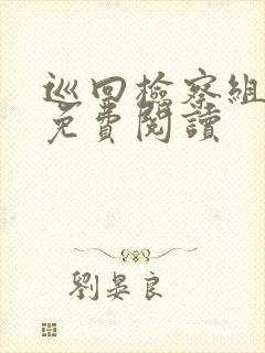 巡回检察组小说免费阅读