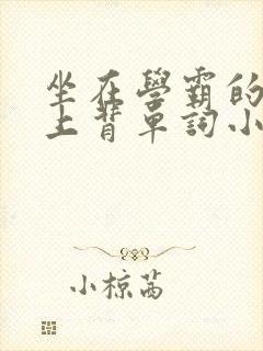 坐在学霸的棍子上背单词小说