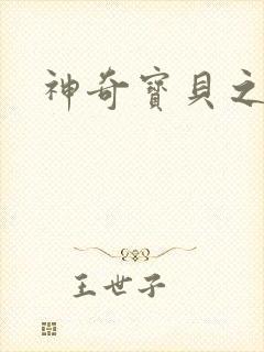 神奇宝贝之一辉