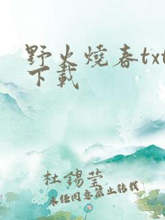野火烧春txt下载