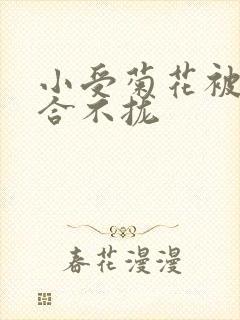 小受菊花被双龙合不拢