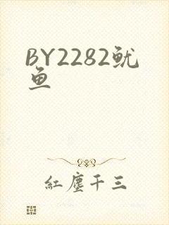 BY2282鱿鱼