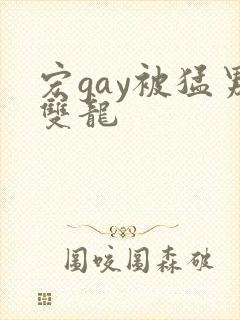 宏gay被猛男双龙