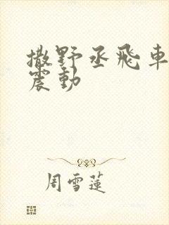 撒野丞飞车道具震动