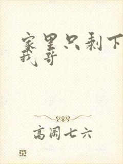 家里只剩下我和我哥