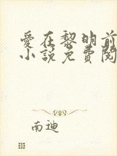 爱在黎明前降落小说免费阅读