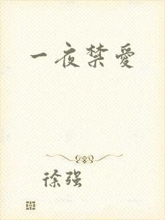 一夜禁爱