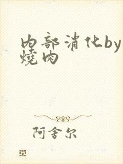 内部消化by红烧肉