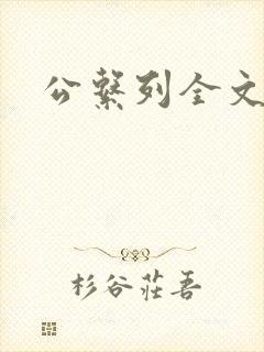 公系列全文阅读