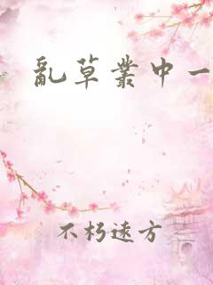 乱草丛中一杆枪