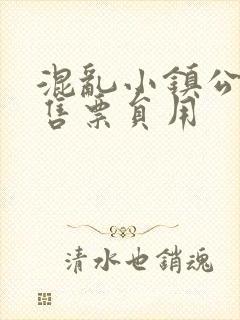 混乱小镇公交车售票员用