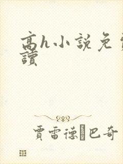 高h小说免费阅读