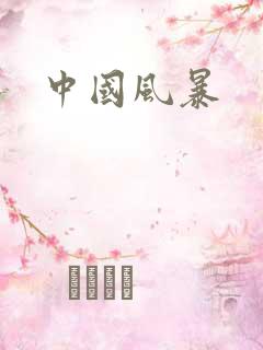 中国风暴