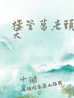 楼管葛老头的春天