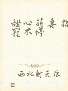 甜心萌妻 总裁宠不停