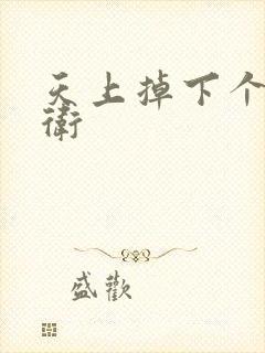 天上掉下个影卫卫