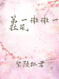 第一微微一笑很拉风