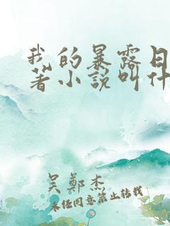 我的暴露日记原著小说叫什么