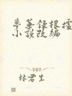 梦华录根据什么小说改编