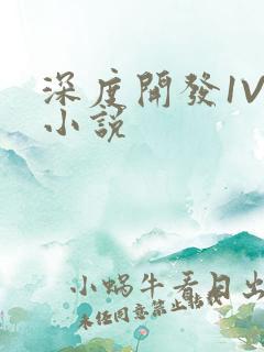 深度开发1V3小说