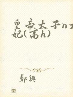 皇帝太子n太子妃(高h)