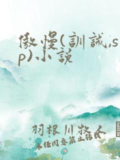 傲慢(训诫,sp)小说