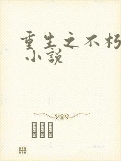 重生之不朽传奇 小说