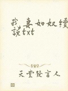 我妻如奴续写小说txt