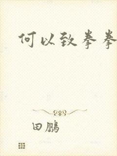 何以致拳拳番外