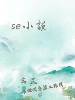 se小说