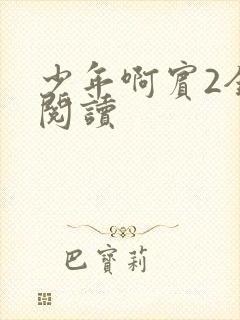 少年啊宾2全文阅读