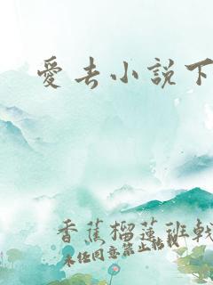 爱去小说下载网