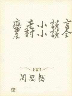 恋老小说言情网农村小说全文阅读