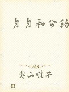 月月和公的恋情