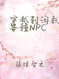 穿越到游戏里和各种NPC