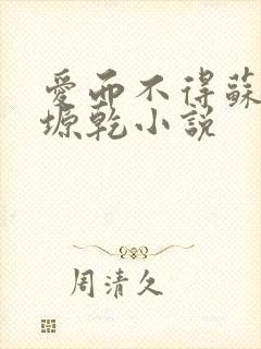 爱而不得苏路顾塬乾小说