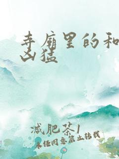 寺庙里的和尚很凶猛