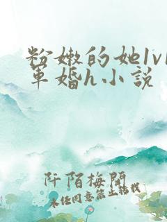 粉嫩的她1v1军婚h小说