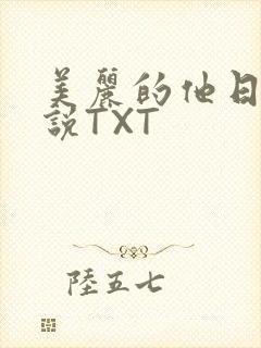 美丽的他日剧小说TXT
