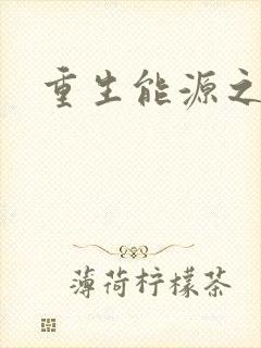重生能源之王