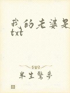 我的老婆是警察txt