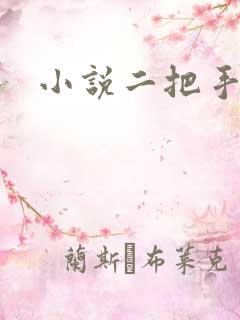 小说二把手