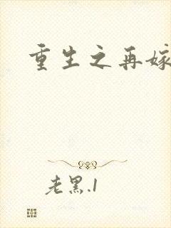 重生之再嫁前夫