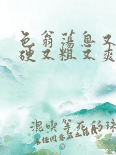 色翁荡息又大又硬又粗又爽电影