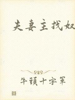 夫妻主找奴